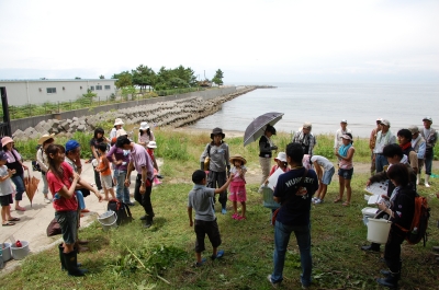 「大阪湾生き物一斉調査」 in せんなん里海公園_c0108460_2217759.jpg