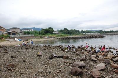 「大阪湾生き物一斉調査」 in せんなん里海公園_c0108460_22294110.jpg