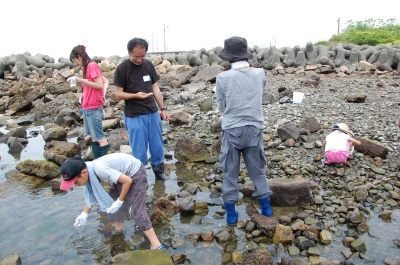 「大阪湾生き物一斉調査」 in せんなん里海公園_c0108460_22323774.jpg