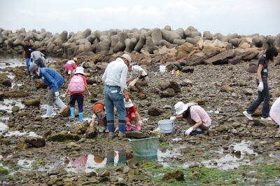 「大阪湾生き物一斉調査」 in せんなん里海公園_c0108460_2234188.jpg