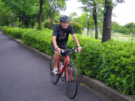 b0108100_15484290.gif