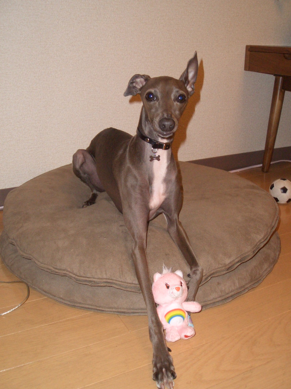 e0141909_2149075.jpg