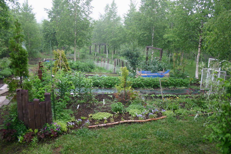 d0143719_14152650.jpg