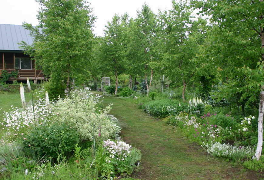 d0143719_14213486.jpg