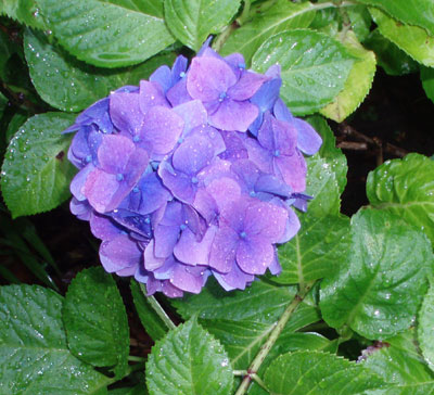a0088920_23353624.jpg