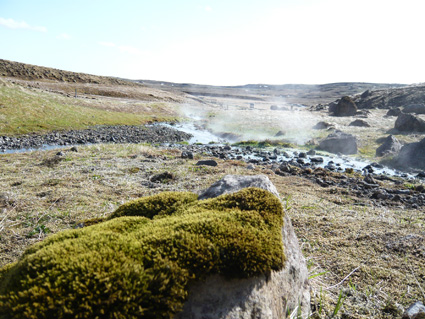 クヴェラゲルディ周辺の地熱地帯を探索：ソトコト、アイスランド取材裏話：取材5日目_c0003620_13215284.jpg