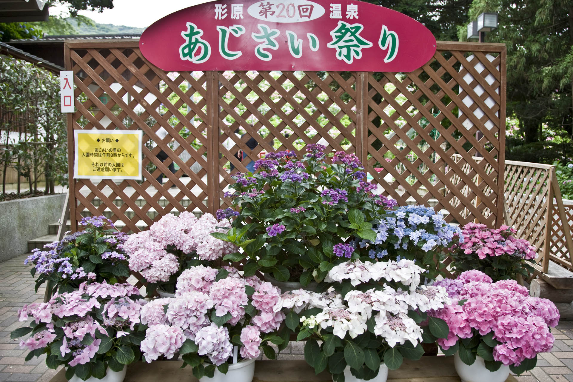 d0073620_0392790.jpg