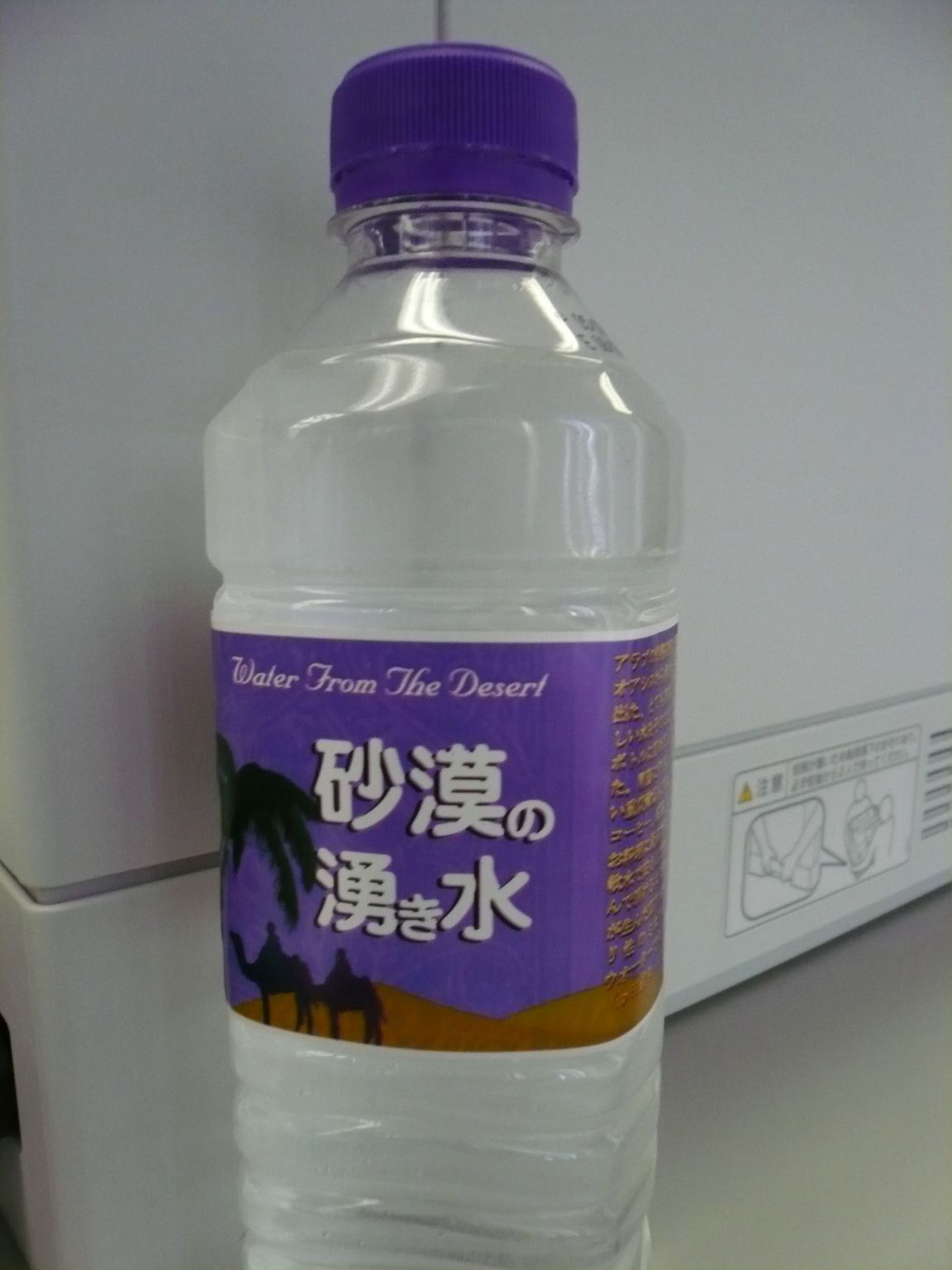 砂漠の湧き水_b0054727_1028671.jpg