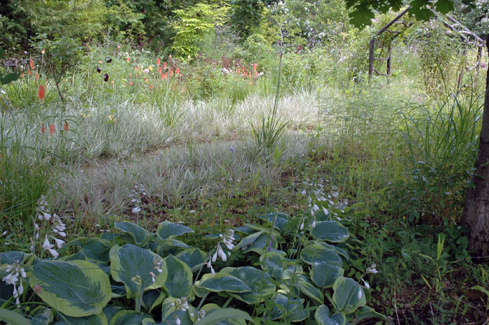 c0107129_3848.jpg