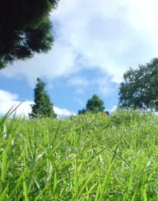 e0110940_2393974.jpg
