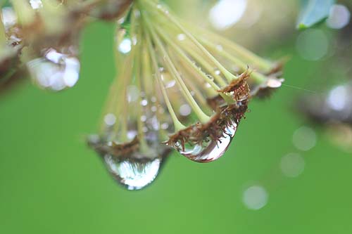 雨の合間に_e0025943_14145899.jpg