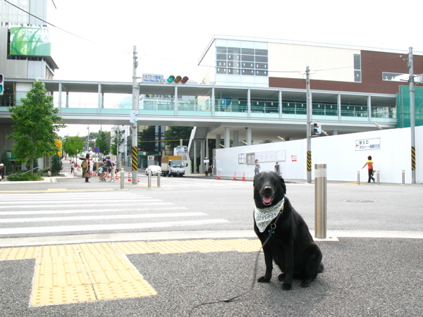 c0039145_174476.jpg