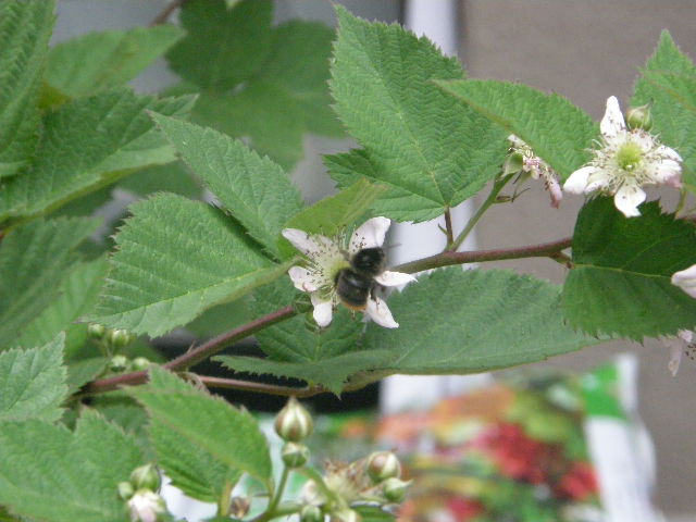 e0126946_2303895.jpg