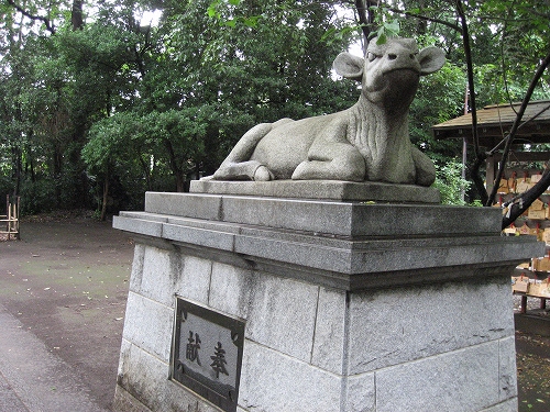 武蔵野公園散歩_f0017246_1540736.jpg