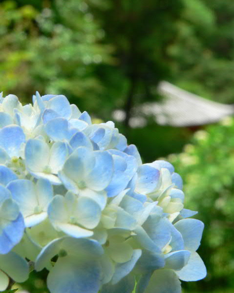 e0017051_10771.jpg