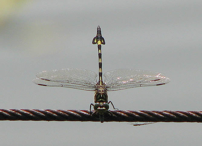 d0146854_2142572.jpg