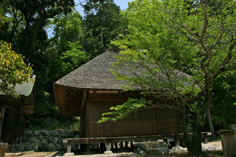 a0045381_847030.jpg