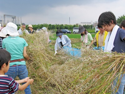 ふれあい菜の花子ども教室開催　2008年6月21日(土)_c0145581_17420100.jpg