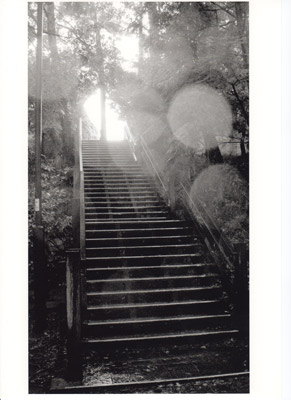 モノクロ写真の裏技_a0049195_2339173.jpg