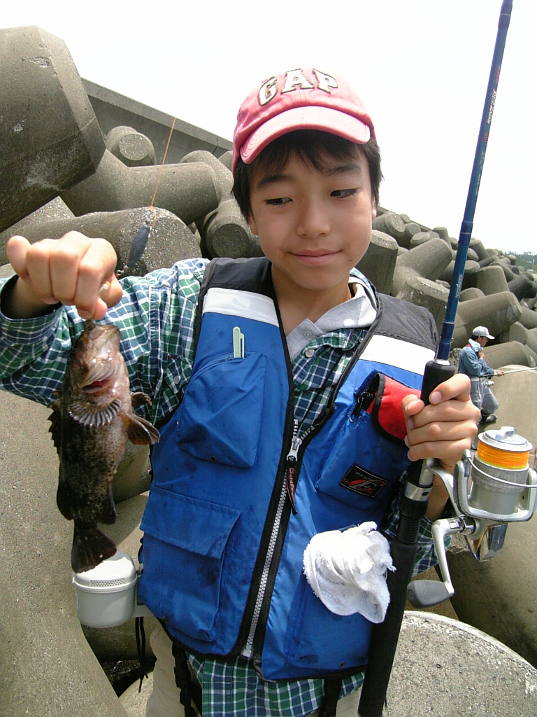 福井 石橋テトラ キジハタ 釣りと海散歩