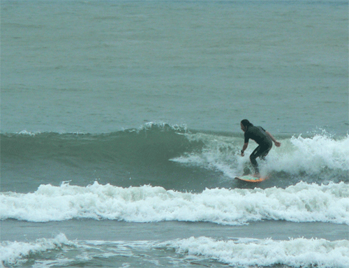 c0114000_2144671.gif