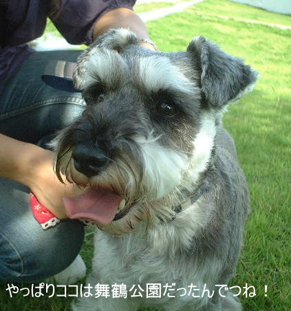 2008/6/23 (月)　　マコプゥ★舞鶴公園_d0079701_19544030.jpg