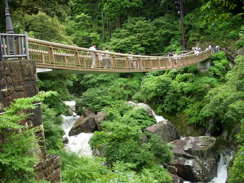 あじさい祭り(見帰りの滝)_d0116009_2145011.jpg