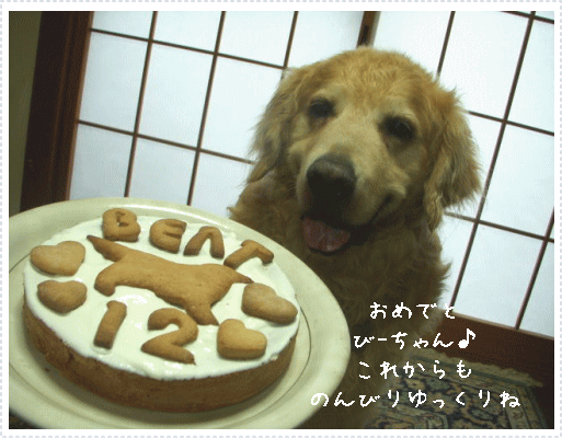 c0017311_15561984.gif