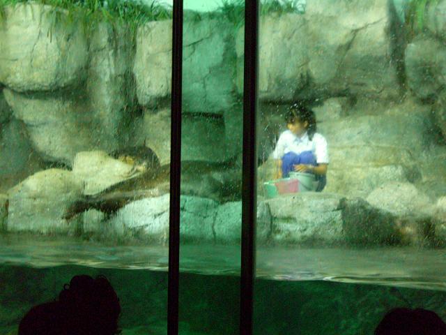c0138720_01387.jpg