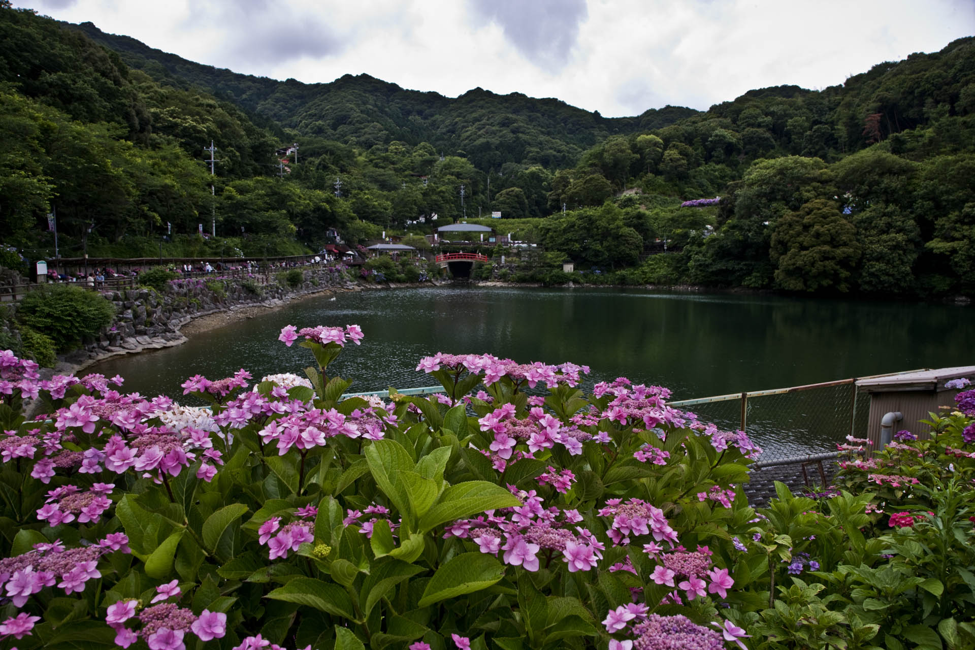 d0073620_1412012.jpg