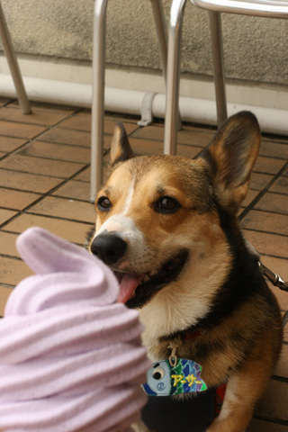 e0071225_32233.jpg