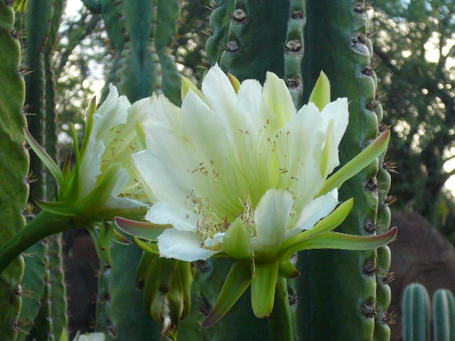 f0178525_558387.jpg