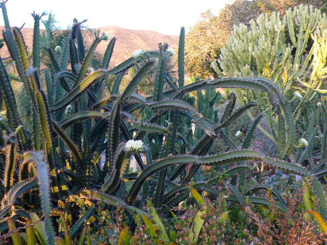 f0178525_615273.jpg