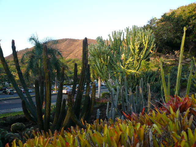 f0178525_621667.jpg