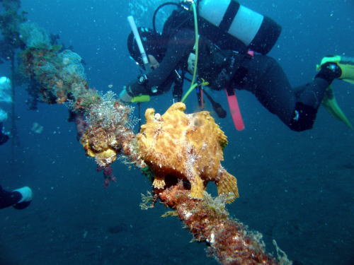 c0034029_21152637.jpg