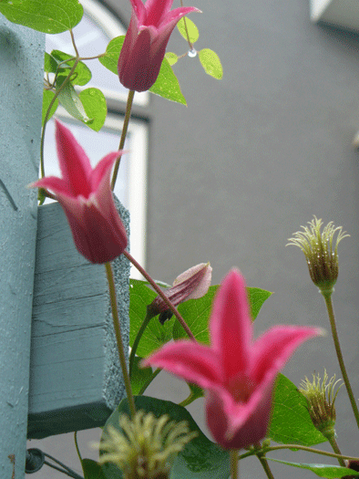 d0140329_21331634.gif