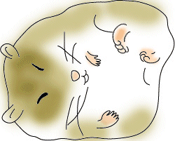 ハムスターのレム睡眠と寝言の関係 A Little Something To Say From California ハムスターのレム睡眠と寝言の関係 A Little Something To Say From California