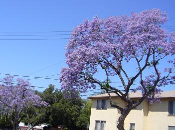 f0041447_0163373.jpg