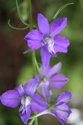 c0118352_0143435.jpg