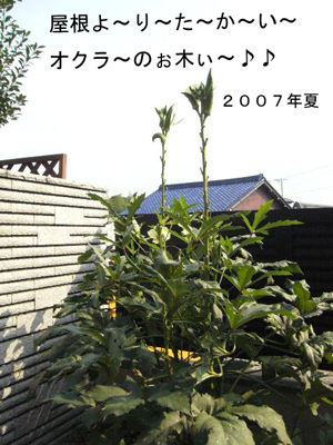 f0177261_17112963.jpg