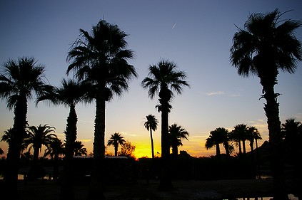 Today\'s sunset at Papago Park_d0118862_14212557.jpg