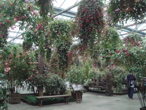 e0125762_22414391.jpg