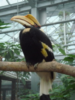e0125762_22443284.jpg