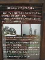 e0125762_22522870.jpg