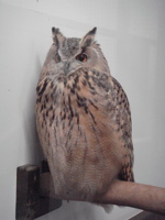 e0125762_23174110.jpg