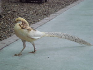 e0125762_23233038.jpg