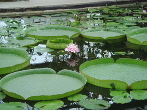 e0125762_2336675.jpg