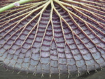 e0125762_23375078.jpg