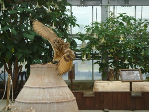 e0125762_236577.jpg
