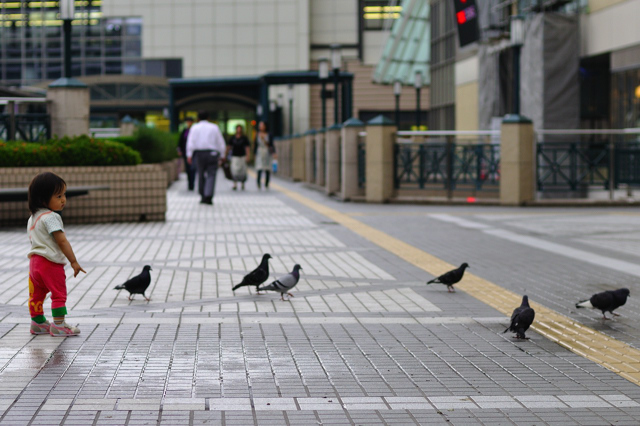 Pigeon。_f0136162_2005027.jpg